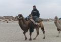 IDP Field Trip: Camel journey from Daheyan to Karadong (Alastair Morrison), 18 November 2011.