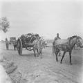 Carts, Gansu, China, in 1948.