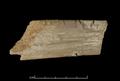 Wooden Khotanese manuscript fragment from a tablet