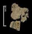 Fragments of paper and textile found with Qing period document. Some have Chinese text.
