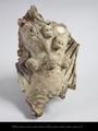 Fragment of a stucco figure. This is a torso decorated with a necklace consisting of skulls. Remains of a cloak can be seen behind the body, as well as a loincloth around the hips.