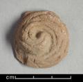 Fragment of figure made of reddish brown clay with white pigments still visible. The object has the shape of a curled spiral that rises to  point at centre. It represents a ringlet from the hair of the Buddha which, according to legend, grew back curly after he cut it as sign of his  renunciation of earthly life.