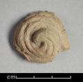 Fragment of figure made of red clay. The object has the shape of a curled spiral that rises to point at centre. It represents a ringlet from the hair of the Buddha which, according  to legend, grew back curly after he cut it as sign of his renunciation of  earthly life.