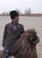 IDP Field Trip: Lunch halt during camel journey from Daheyan to Karadong, 18 November 2011.