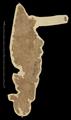 Blank manuscript fragment