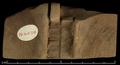 Fragment of a Rectangular Covering-tablet