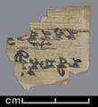 Sanskrit manuscript fragment.