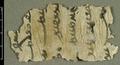 Manuscript fragment with Sogdian on other side and Chinese on other.