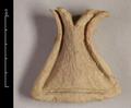 Fragment of architectural ornament (?) made of reddish clay covered with a white slip. The object has a triangular shape with the pointed end curved toward the outside.
