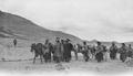 Photograph taken by F. M. Bailey in Tibet