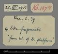 Labels written by Hoernle to identify Stein manuscripts from Khadalik.