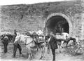 William Purdom trekking to Wutai Shan, Shanxi. Laden mules passing through gateway of (Inner) Great Wall five days west of Paoting Fu. Photograph taken by William Purdom on his 1909-1910 travels in China.
