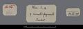Label written by Hoernle to identify Stein manuscripts from Khadalik.