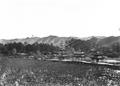 Lake scene, palace grounds, Jehol [Chengde]. Photograph taken by William Purdom on his 1909-1910 travels in China.