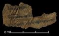 Sogdian Manichaean fragment