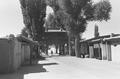 Street scene in Dunhuang, taken on Joseph Needham's 1943 visit.