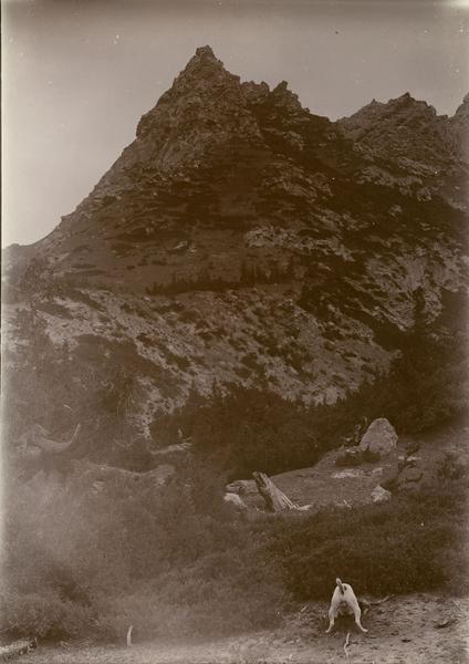 Images for this item