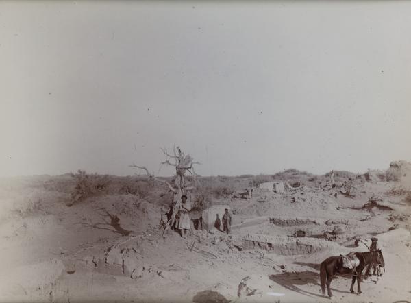 Images for this item